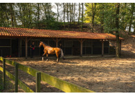  Overnachten met je paard in de Maashorst VMP102